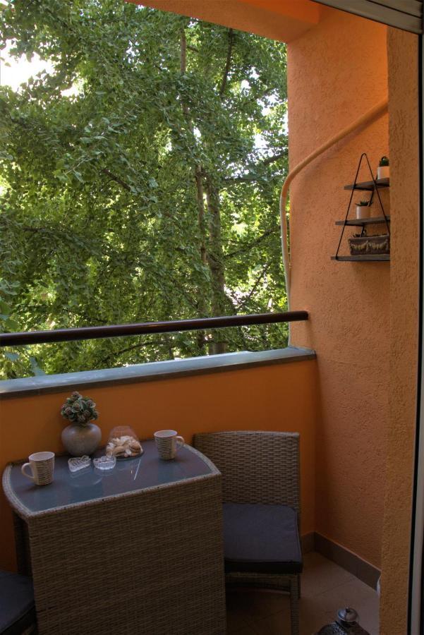 Novi Sad Apartman Tenigo Extérieur photo